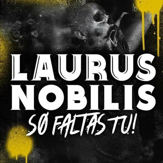 Laurus Nobilis Music Famalicão - Home | Facebook