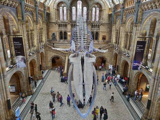 Natural History Museum