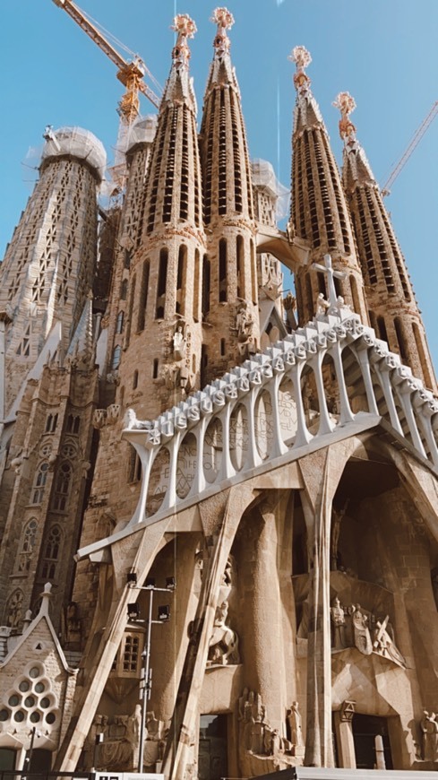 Lugar Basílica Sagrada Familia