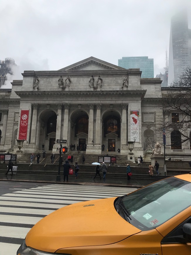 Place New York Public Library