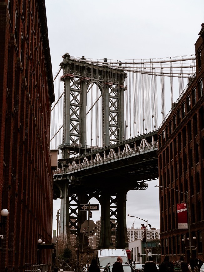 Places Dumbo street vista point