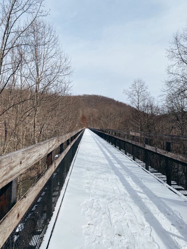 Lugares Ohiopyle