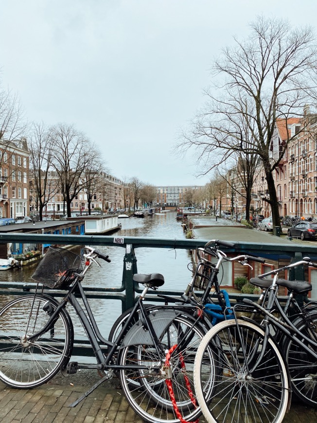 Lugar Canales de Ámsterdam