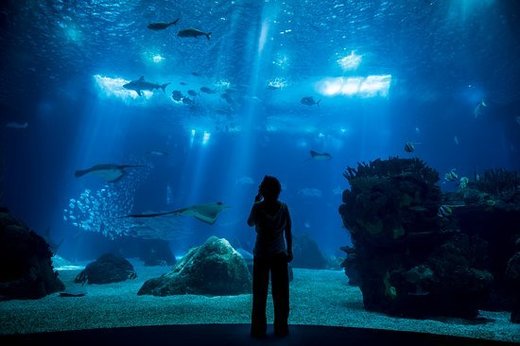 Oceanario de Lisboa