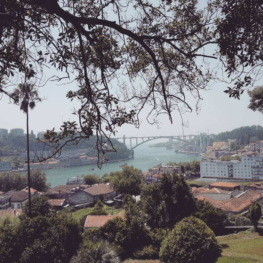 Lugar Puente de la Arrábida