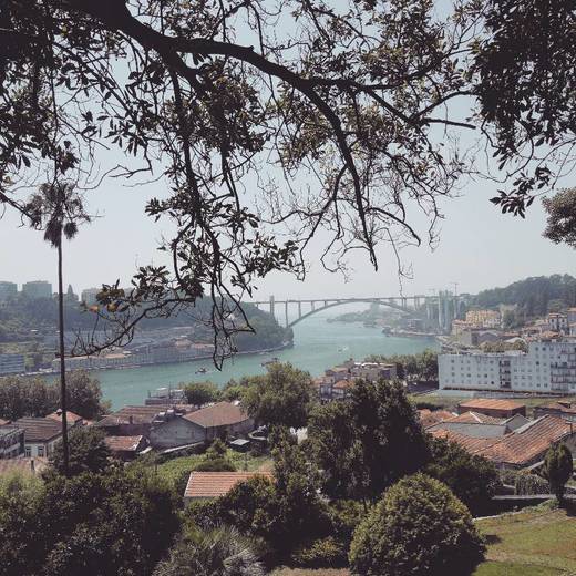 Puente de la Arrábida