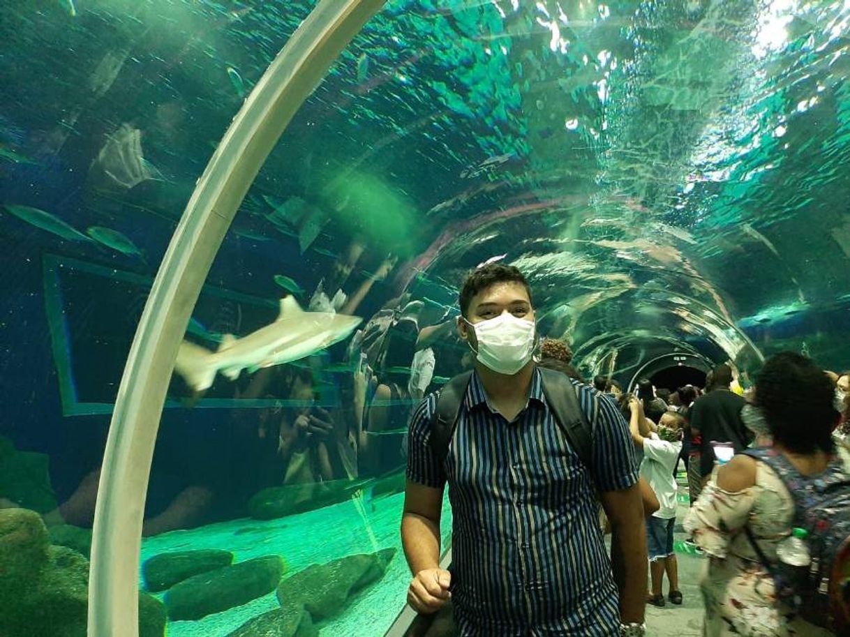 Place Aquário Marinho do Rio de Janeiro