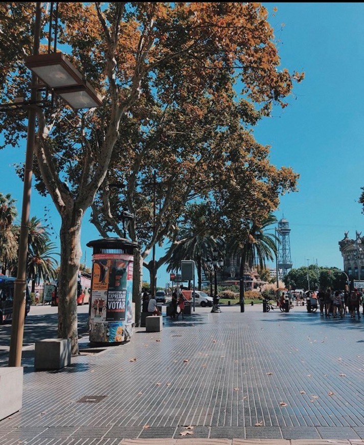 Lugares Rambla de Cataluña