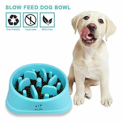 Social Decyam Comedero de Perros para ralentizar la Comida