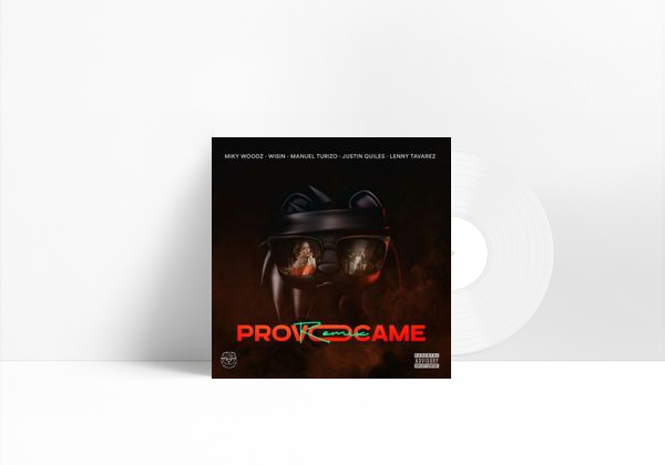 Canción Provócame - Remix