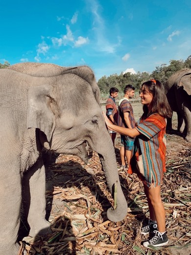 Chiang Mai