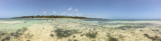 Catalonia Bavaro Beach, Golf & Casino Resort