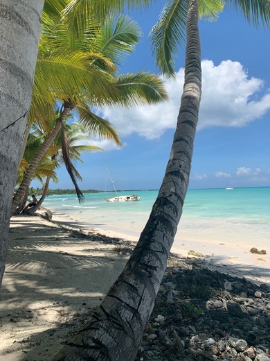 Isla Saona