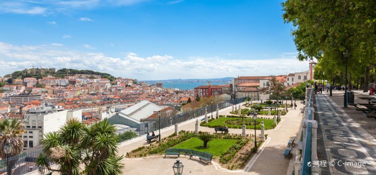 Place Jardín de São Pedro de Alcântara