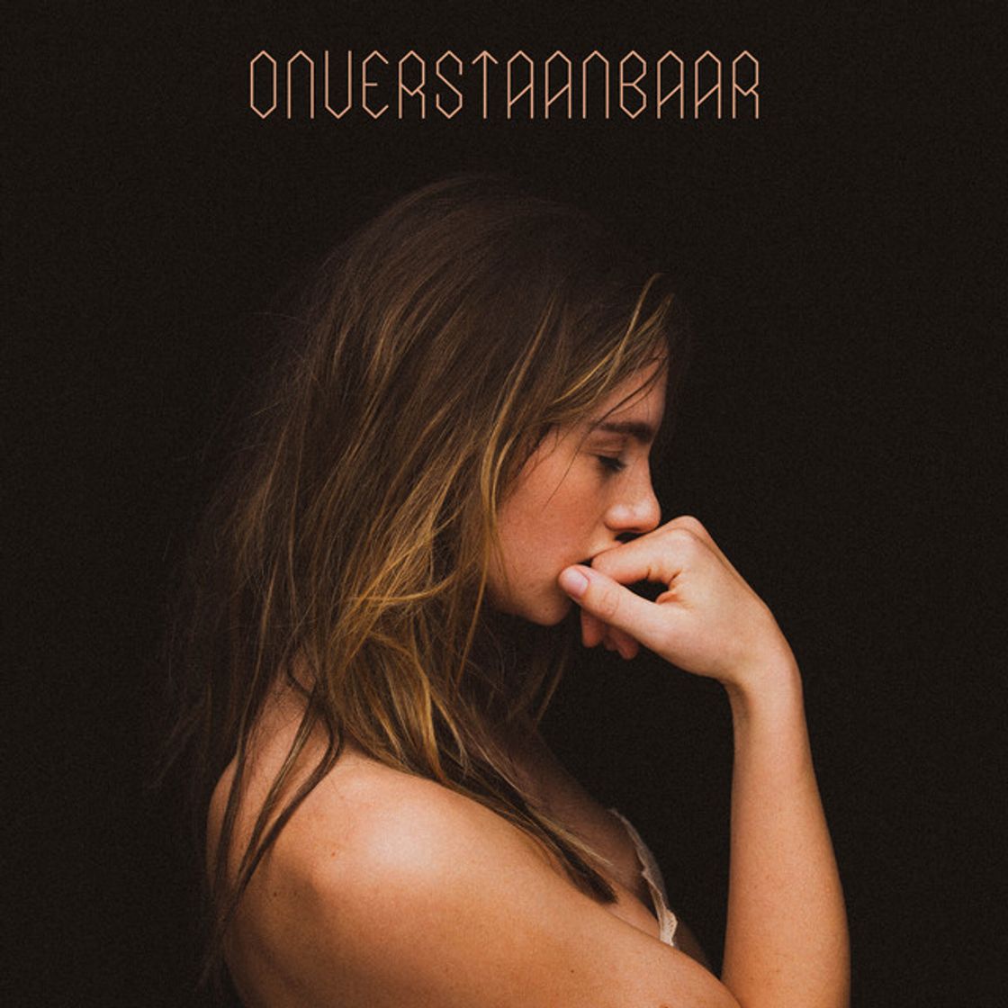 Music Onverstaanbaar