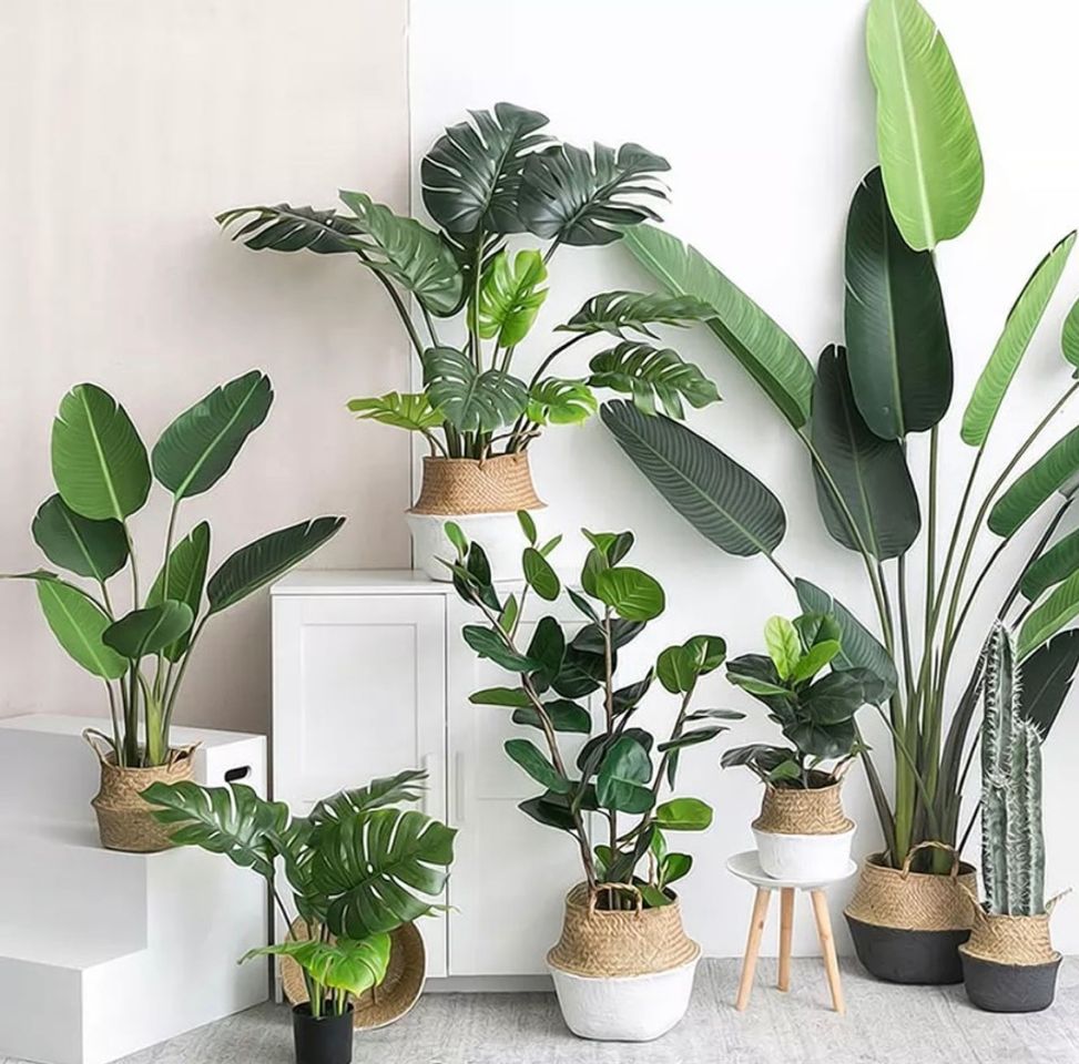 Product Plantas artificiales 