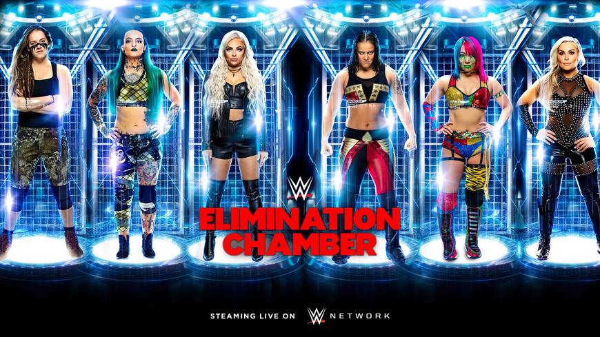 Fashion WwE elimination chamber 