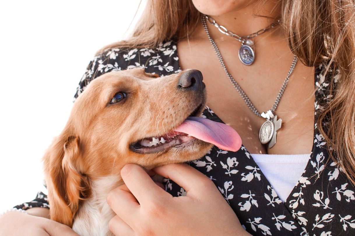 Social Dog🐶❤️