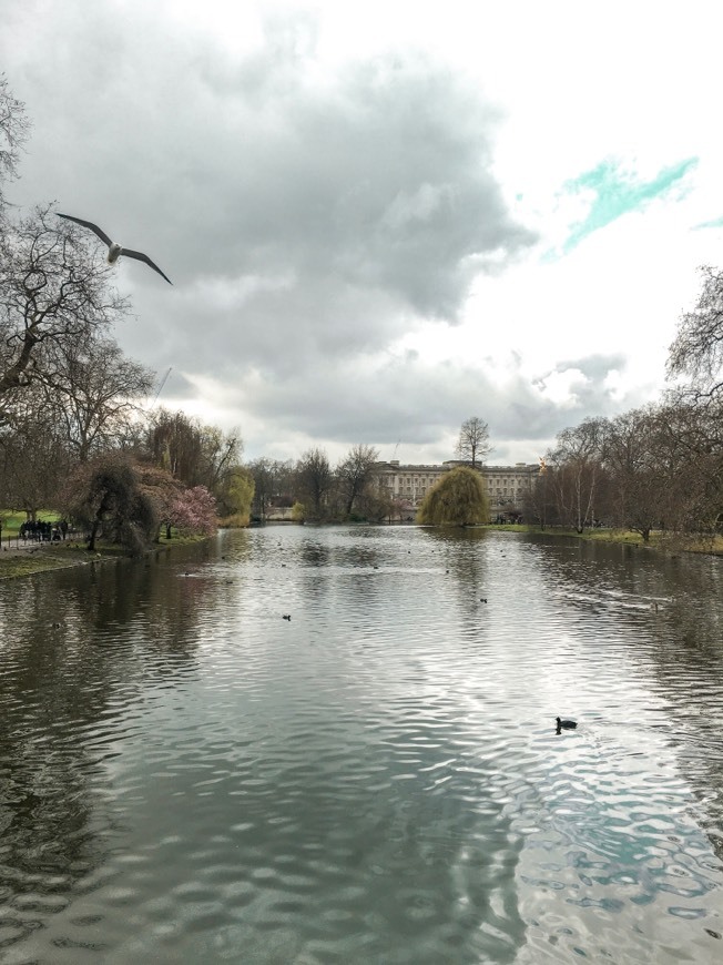 Lugar St. James's Park