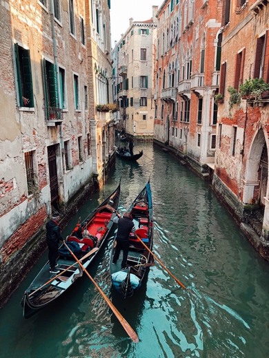 Venecia