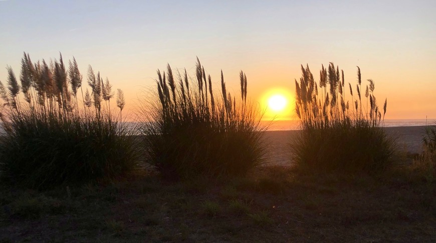 Place Praia da Memória