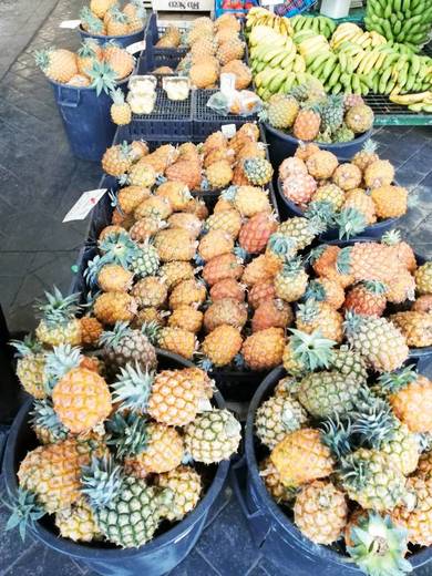 Mercado da Graça