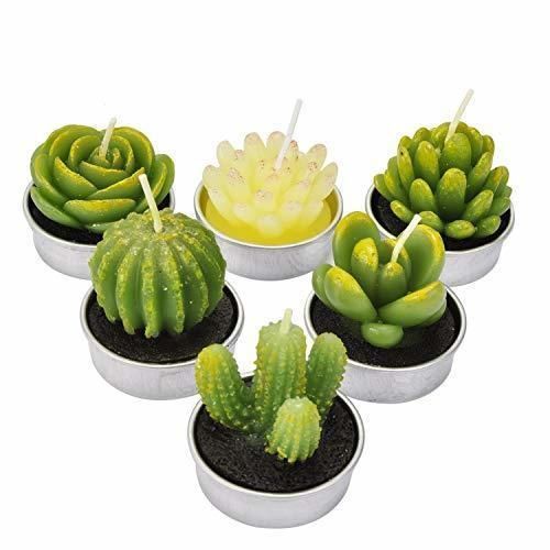 Social LA BELLEFÉE - Velas Cactus