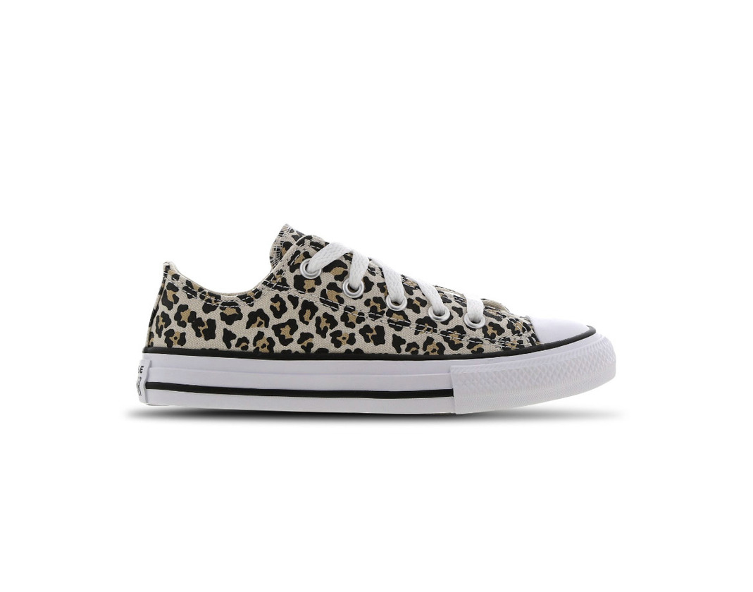 All star animal print