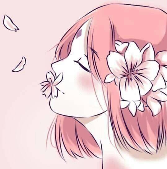 Social Sakura ✨