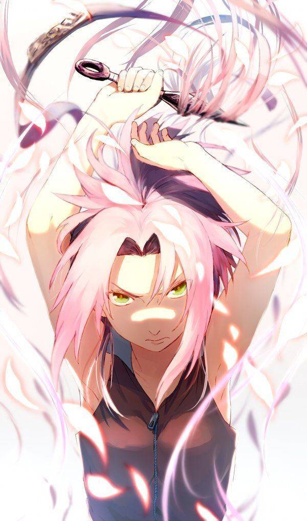 Social Sakura ✨