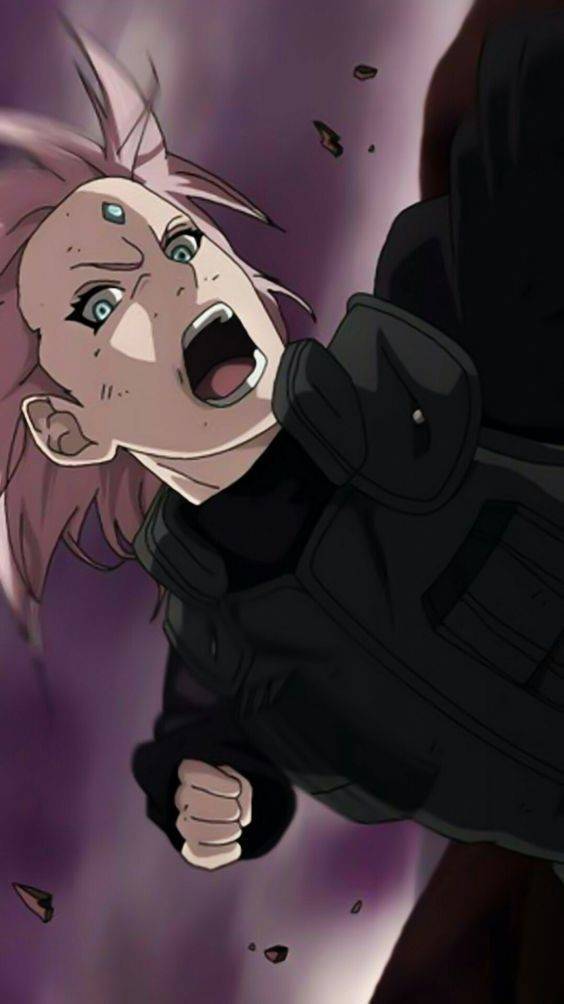 Social Sakura ✨