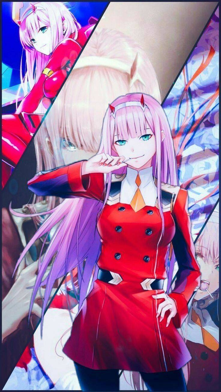 Fashion Zero Two ✨