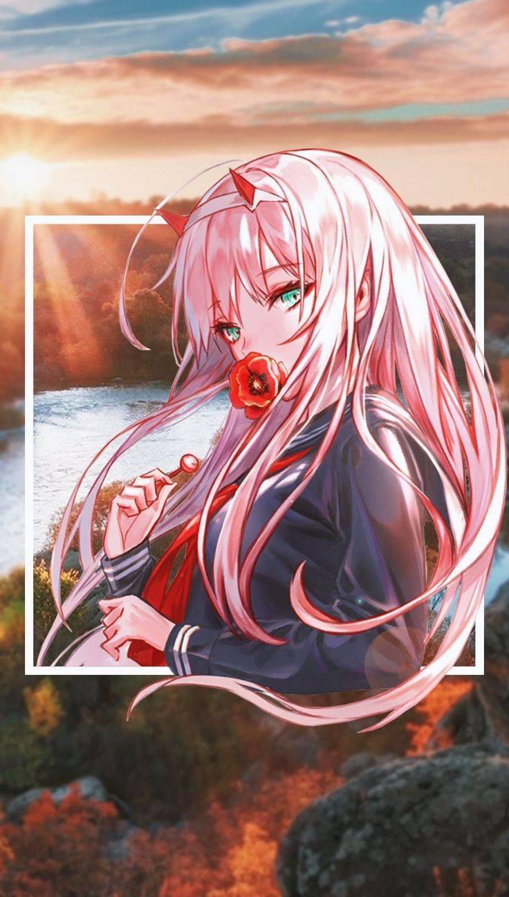 Fashion Zero Two ✨