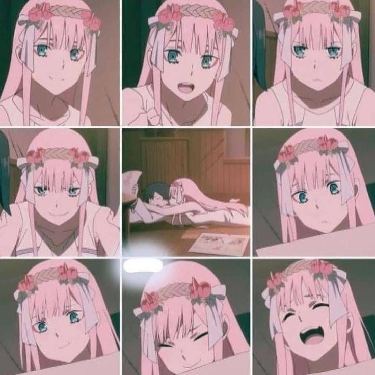 Fashion Zero Two ✨