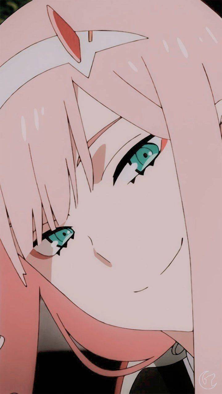 Zero Two ✨