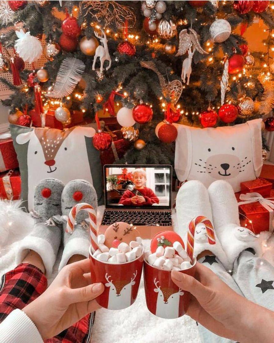 Social Best Friends 🎄