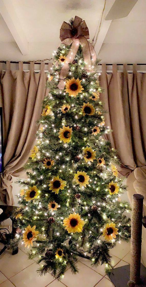 Social Que Árvore de respeito! 🎄🌻