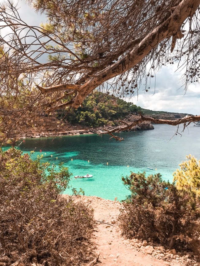 Lugar Cala Salada