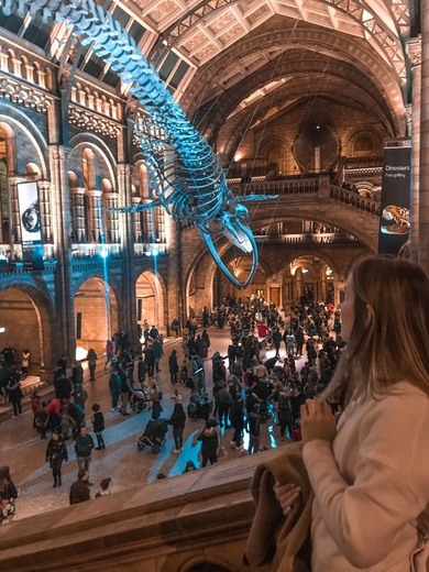 Natural History Museum