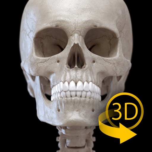 App Esqueleto Anatomía 3D