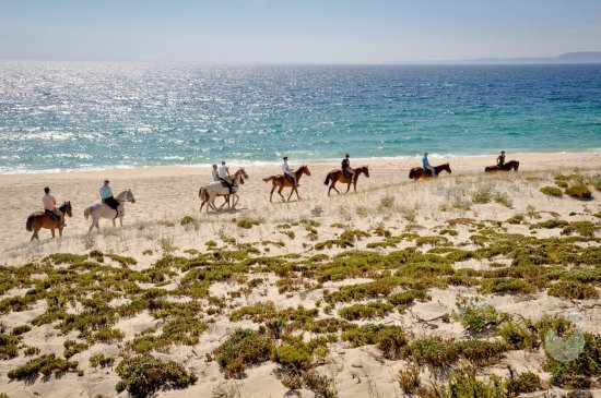 Place Cavalos na Areia