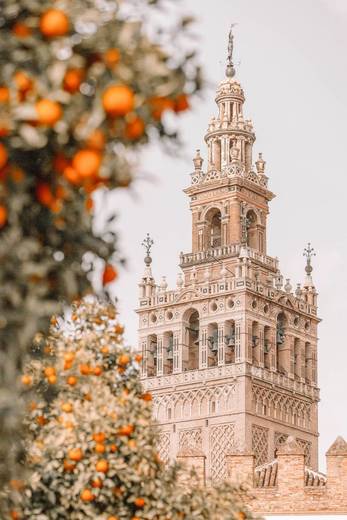 Catedral de Sevilla