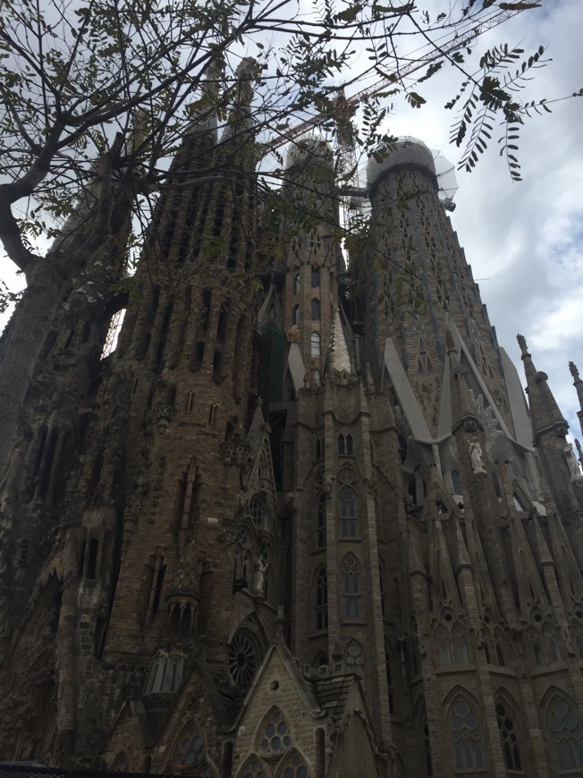 Lugar Basílica Sagrada Familia