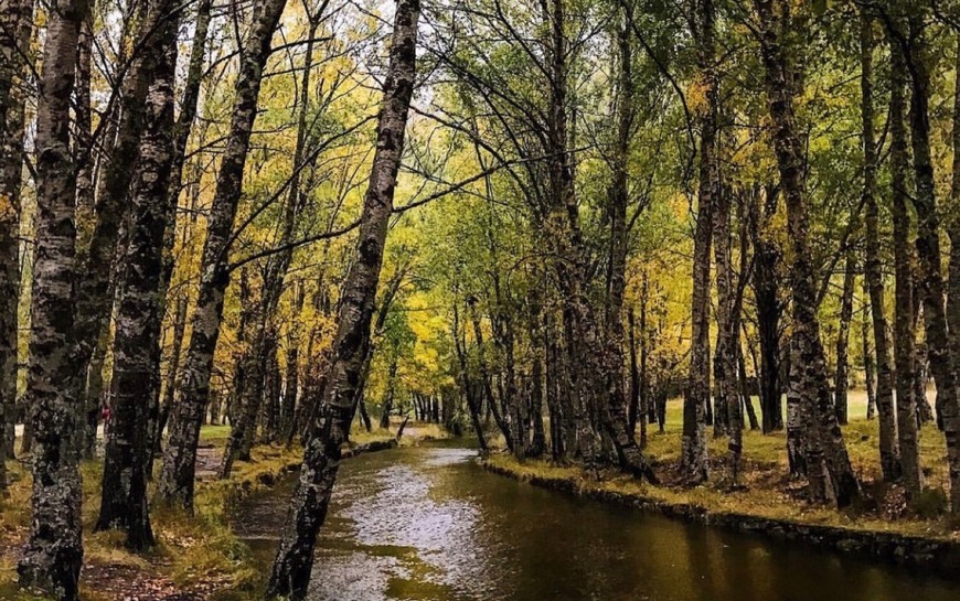 Social Covão d’Ametade - Manteigas 