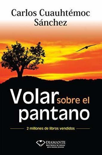 VOLAR SOBRE EL PANTANO