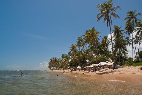 Lugar Praia do Forte