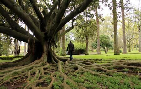 Jardín Botánico de la Universidad de Lisboa