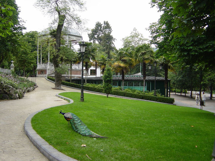 Lugar Parque Infantil Campo San Francisco Patos