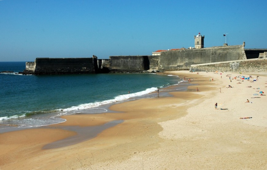 Lugar Torre's beach