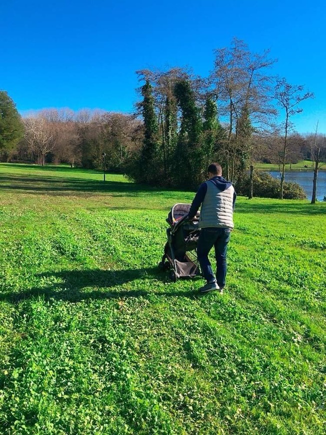 Lugar Parque da Cidade